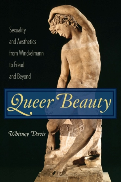E-knjiga Queer Beauty Whitney Davis