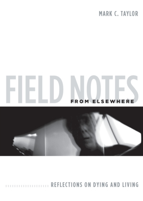 E-knjiga Field Notes from Elsewhere Mark C. Taylor
