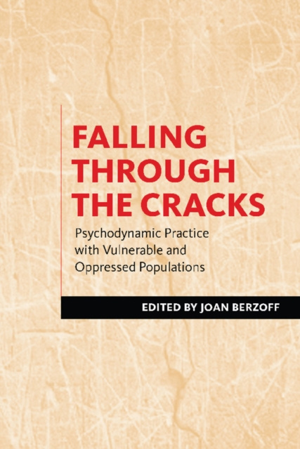 Livre numérique Falling Through the Cracks Joan Berzoff