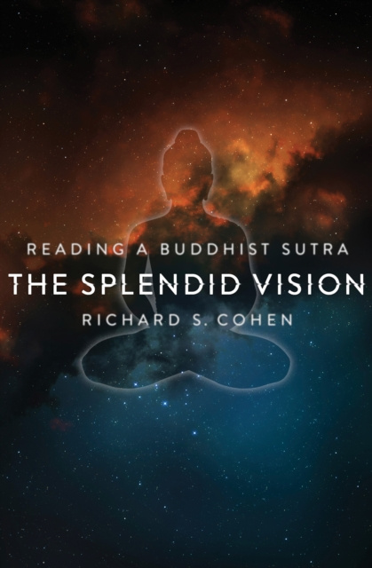 E-book Splendid Vision Richard S. Cohen