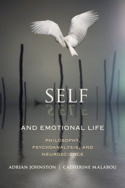 E-knjiga Self and Emotional Life Adrian Johnston