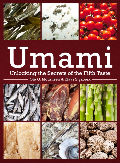 E-book Umami Ole Mouritsen