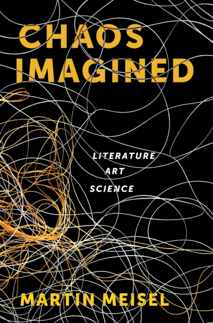E-book Chaos Imagined Martin Meisel