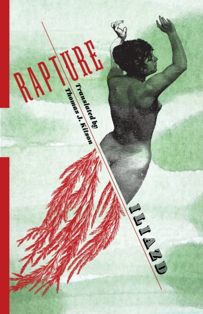 E-book Rapture Iliazd