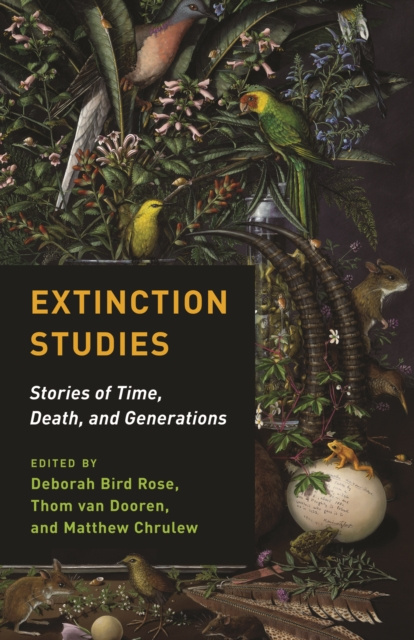 E-kniha Extinction Studies Deborah Bird Rose