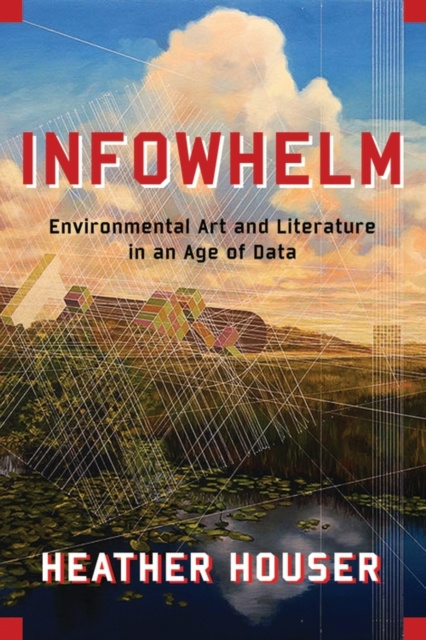 E-knjiga Infowhelm Heather Houser