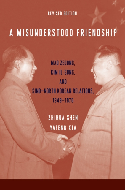 E-kniha Misunderstood Friendship Zhihua Shen