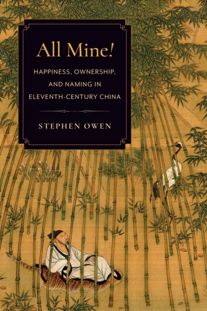 E-kniha All Mine! Stephen Owen
