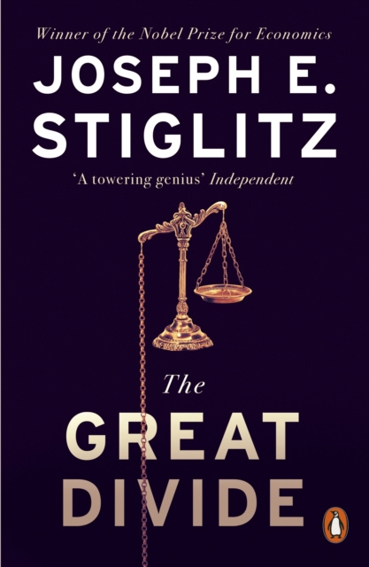 E-book Great Divide Joseph Stiglitz