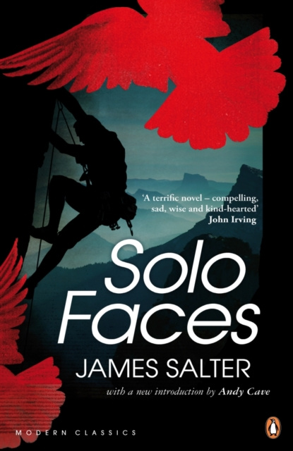 E-kniha Solo Faces James Salter