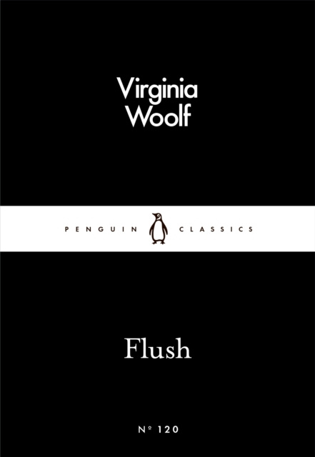 E-knjiga Flush Virginia Woolf