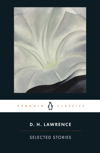E-book Selected Stories D H Lawrence