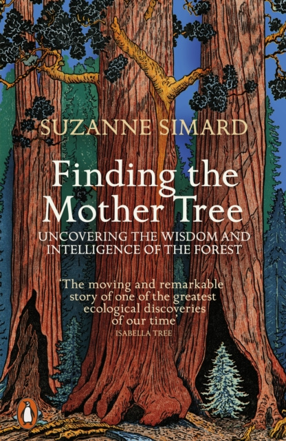 E-kniha Finding the Mother Tree Suzanne Simard