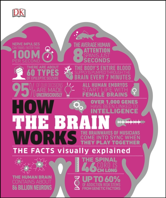 E-book How the Brain Works DK