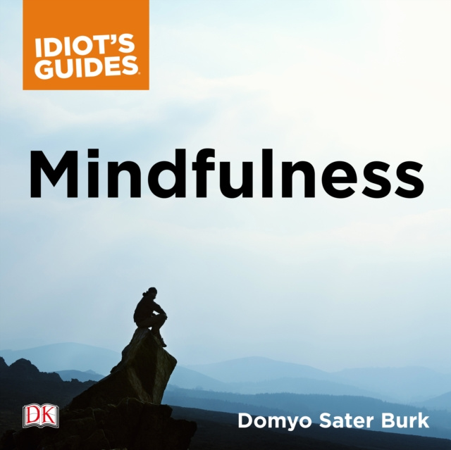 Audiokniha Mindfulness Domyo Sater Burk