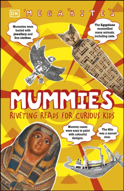 E-book Mummies DK