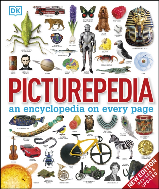 E-kniha Picturepedia DK