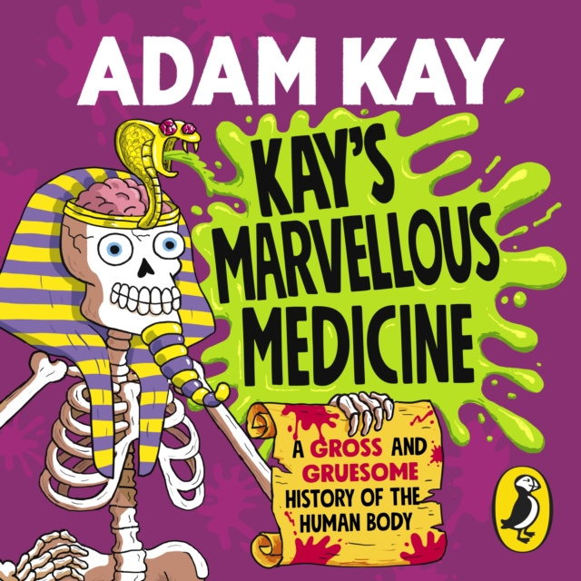 Audiokniha Kay's Marvellous Medicine Adam Kay