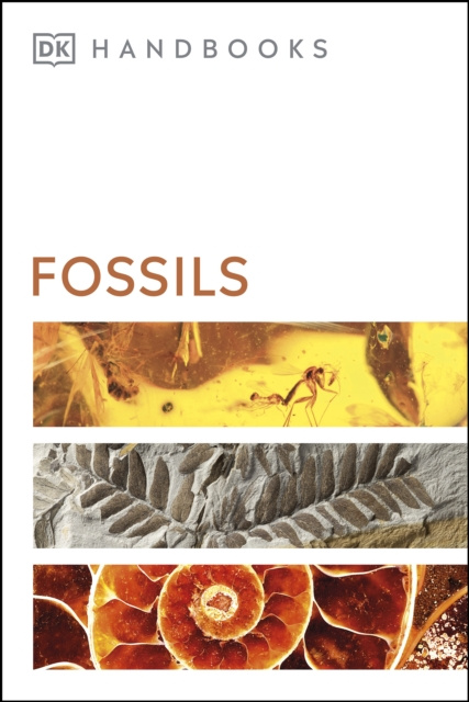E-kniha Fossils David Ward