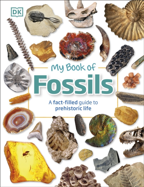 E-kniha My Book of Fossils Dean R. Lomax