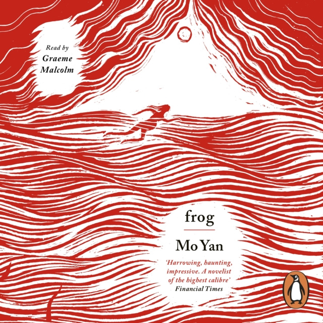 Audiobook Frog Mo Yan
