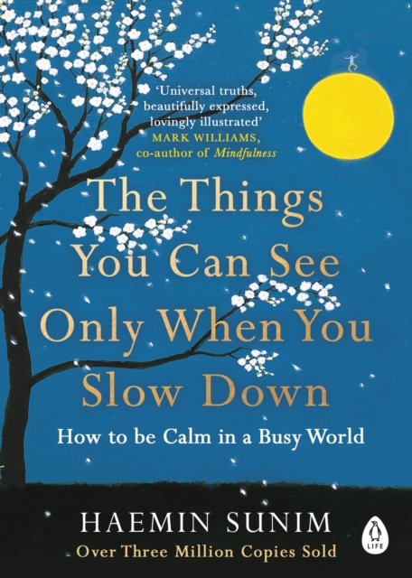 E-kniha Things You Can See Only When You Slow Down Haemin Sunim