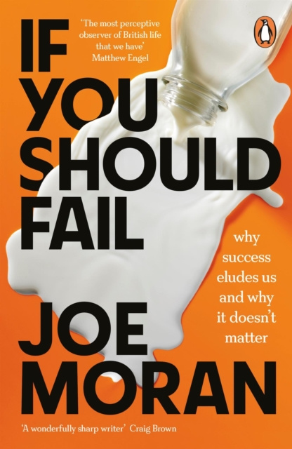 E-kniha If You Should Fail Joe Moran