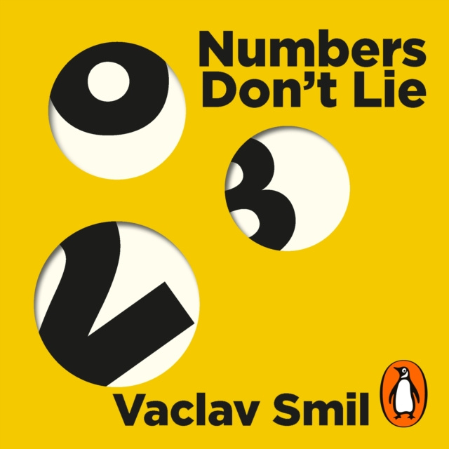 Audiokniha Numbers Don't Lie Vaclav Smil