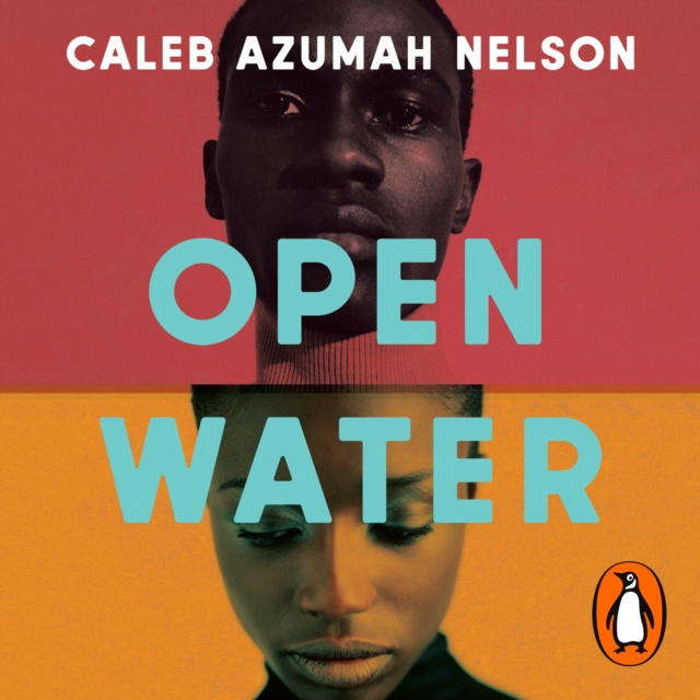 Аудиокнига Open Water Caleb Azumah Nelson