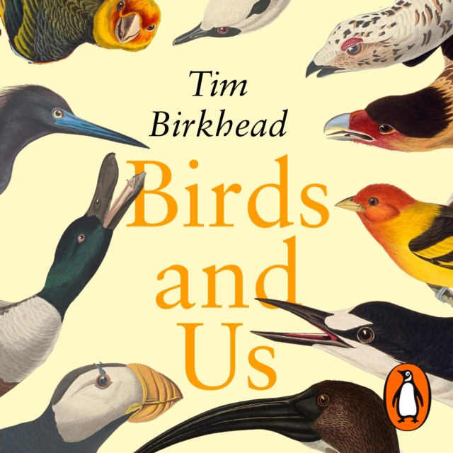 Audiolibro Birds and Us Tim Birkhead