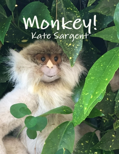 E-knjiga Monkey! Sargent Kate Sargent