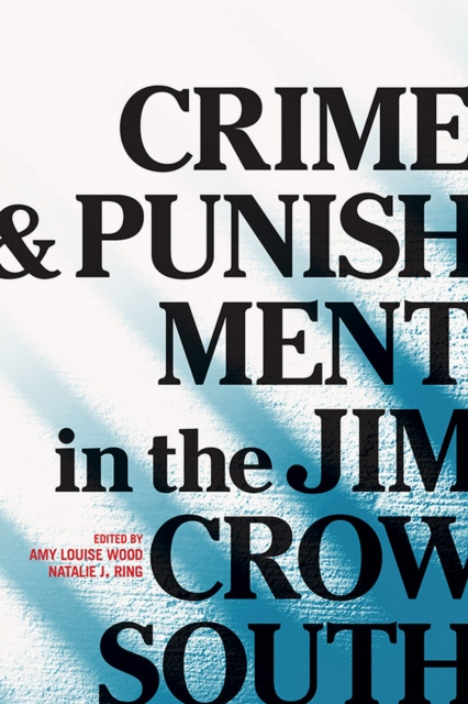 E-kniha Crime and Punishment in the Jim Crow South Wood Amy Louise Wood