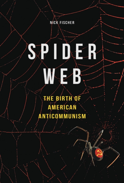 E-knjiga Spider Web Fischer Nick Fischer