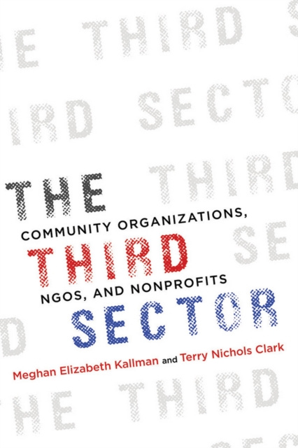E-knjiga Third Sector Kallman Meghan Kallman