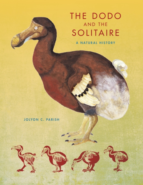 E-kniha Dodo and the Solitaire Jolyon C. Parish