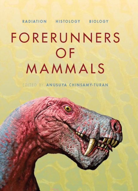 E-kniha Forerunners of Mammals Anusuya Chinsamy-Turan