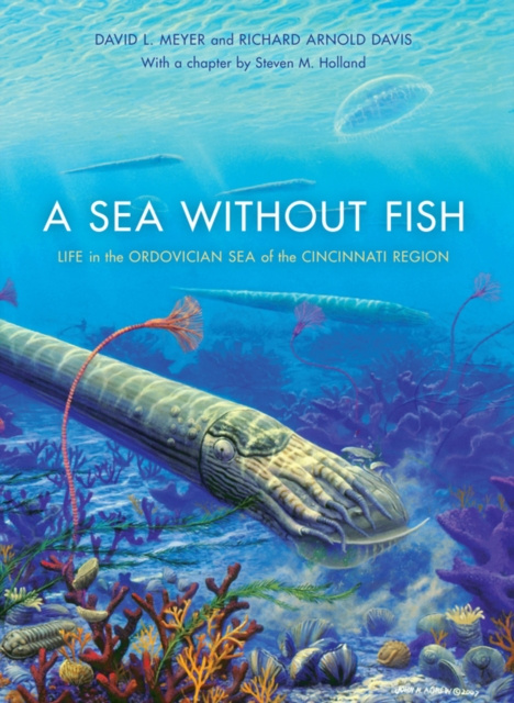 E-kniha Sea without Fish David L. Meyer