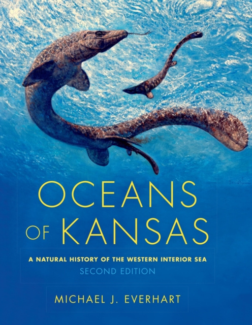 E-kniha Oceans of Kansas Michael J. Everhart