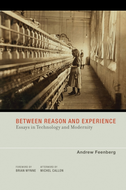 E-knjiga Between Reason and Experience Andrew Feenberg