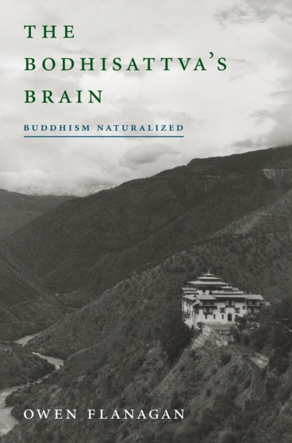 E-kniha Bodhisattva's Brain Owen Flanagan