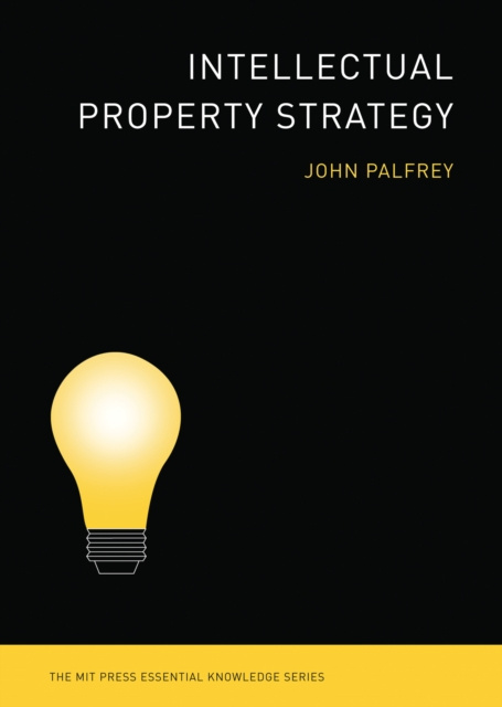 E-knjiga Intellectual Property Strategy John Palfrey