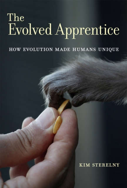 ebook Evolved Apprentice Kim Sterelny