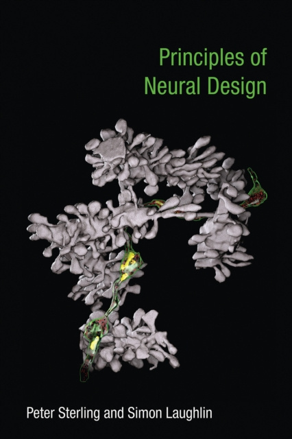 E-kniha Principles of Neural Design Peter Sterling