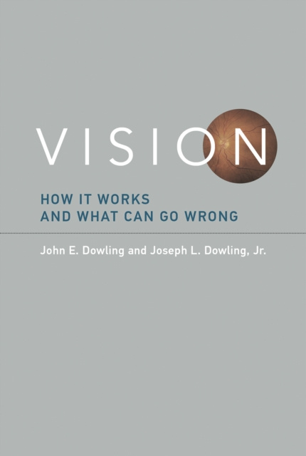 E-knjiga Vision John E. Dowling