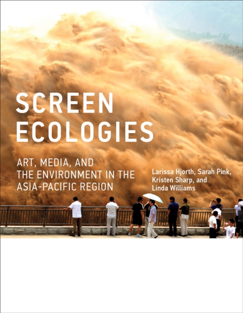 E-knjiga Screen Ecologies Larissa Hjorth