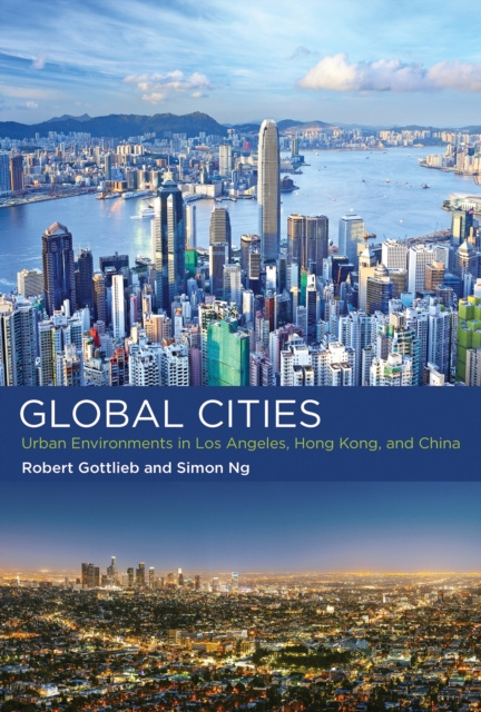 E-knjiga Global Cities Robert Gottlieb