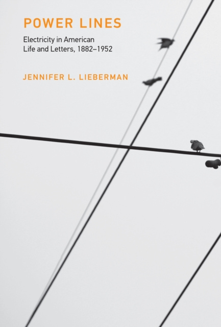 E-knjiga Power Lines Jennifer L. Lieberman