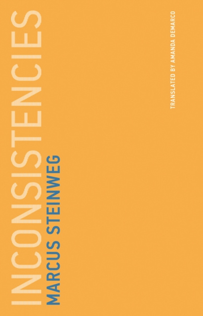 E-book Inconsistencies Marcus Steinweg