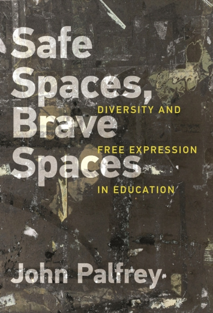 E-book Safe Spaces, Brave Spaces John Palfrey