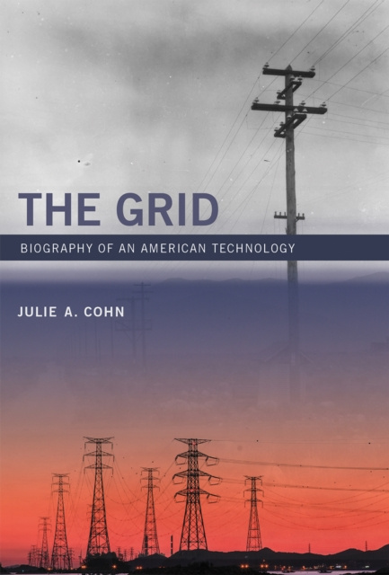 E-knjiga Grid Julie A Cohn